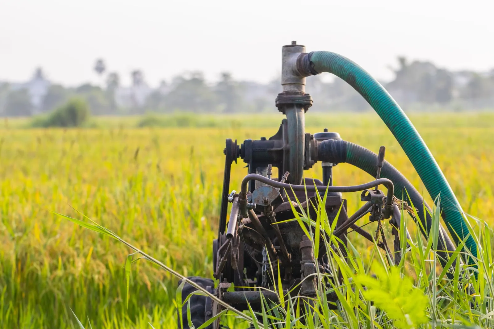 Motopompe d'irrigation