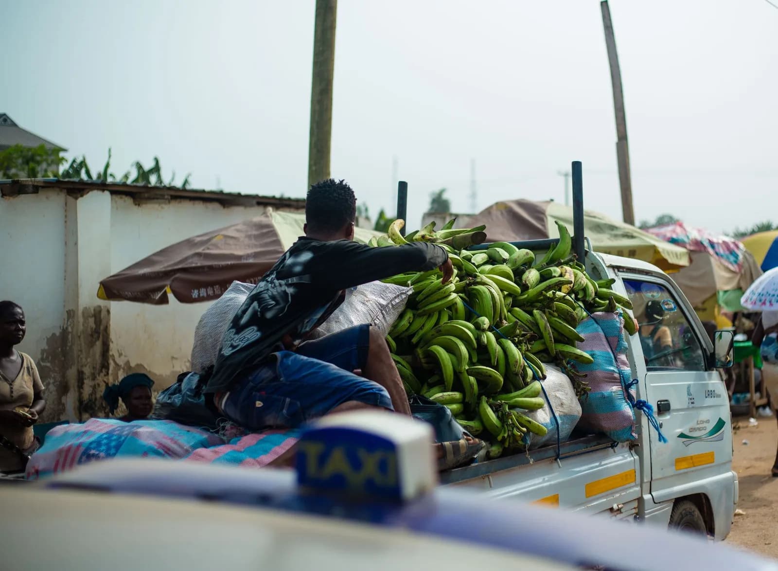 Régimes de plantain en gros