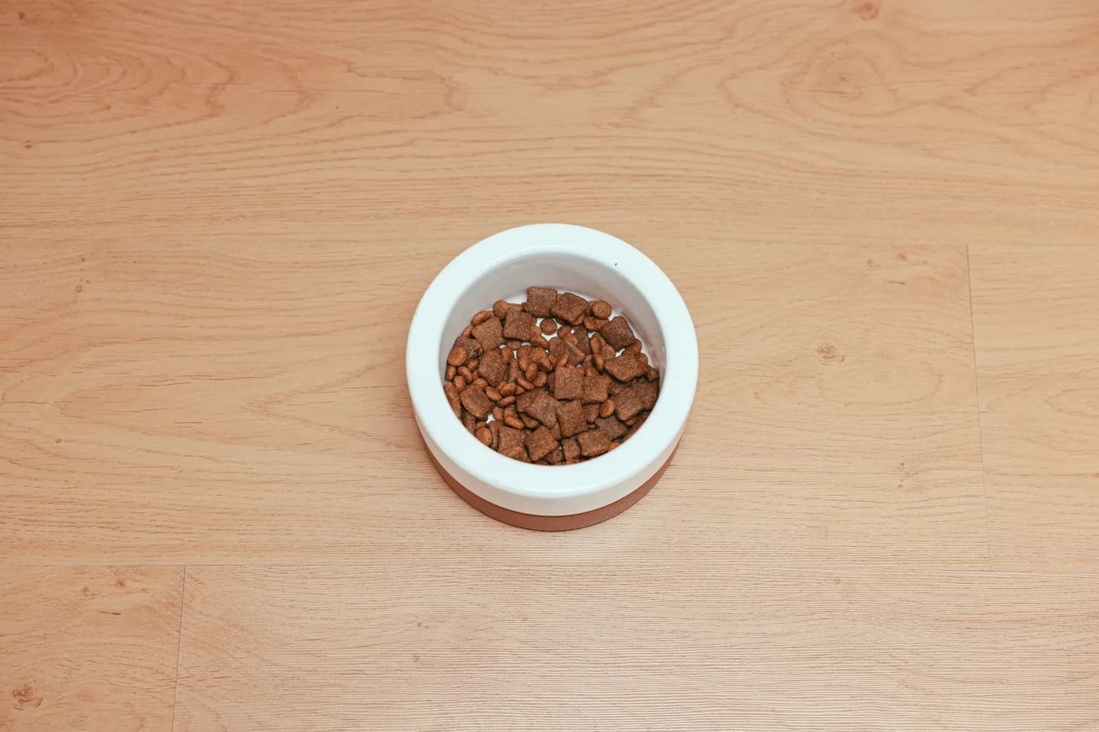 Aliments et accessoires animaux