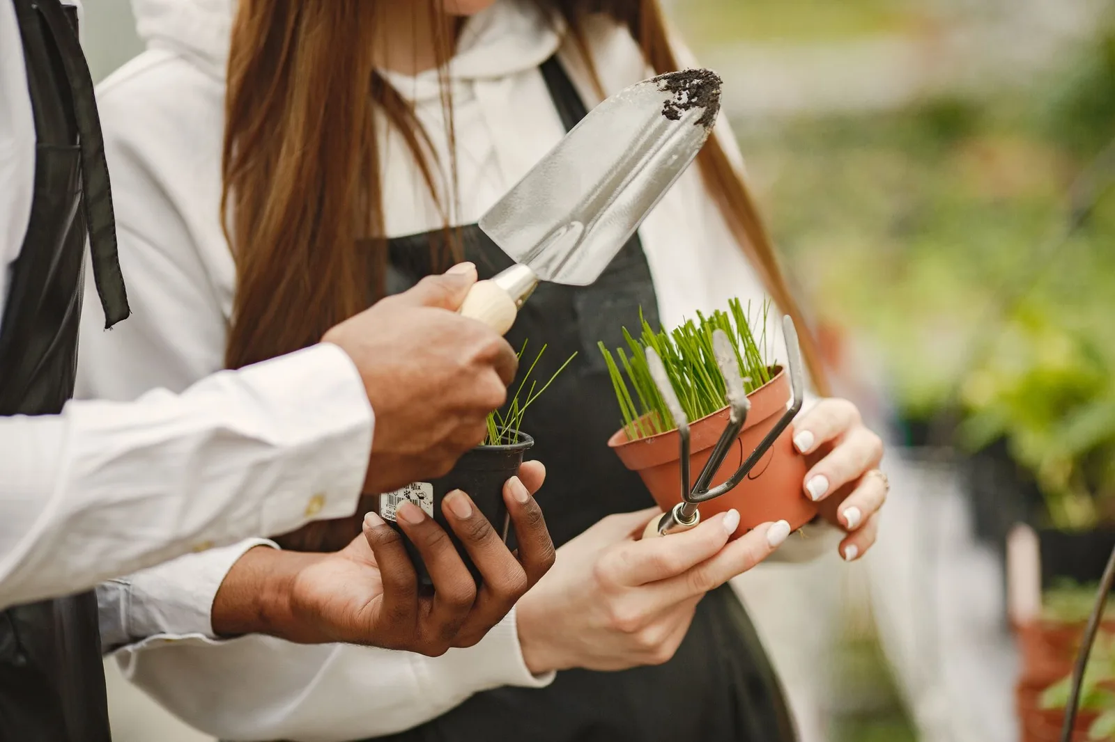 Entretien jardin et espaces verts